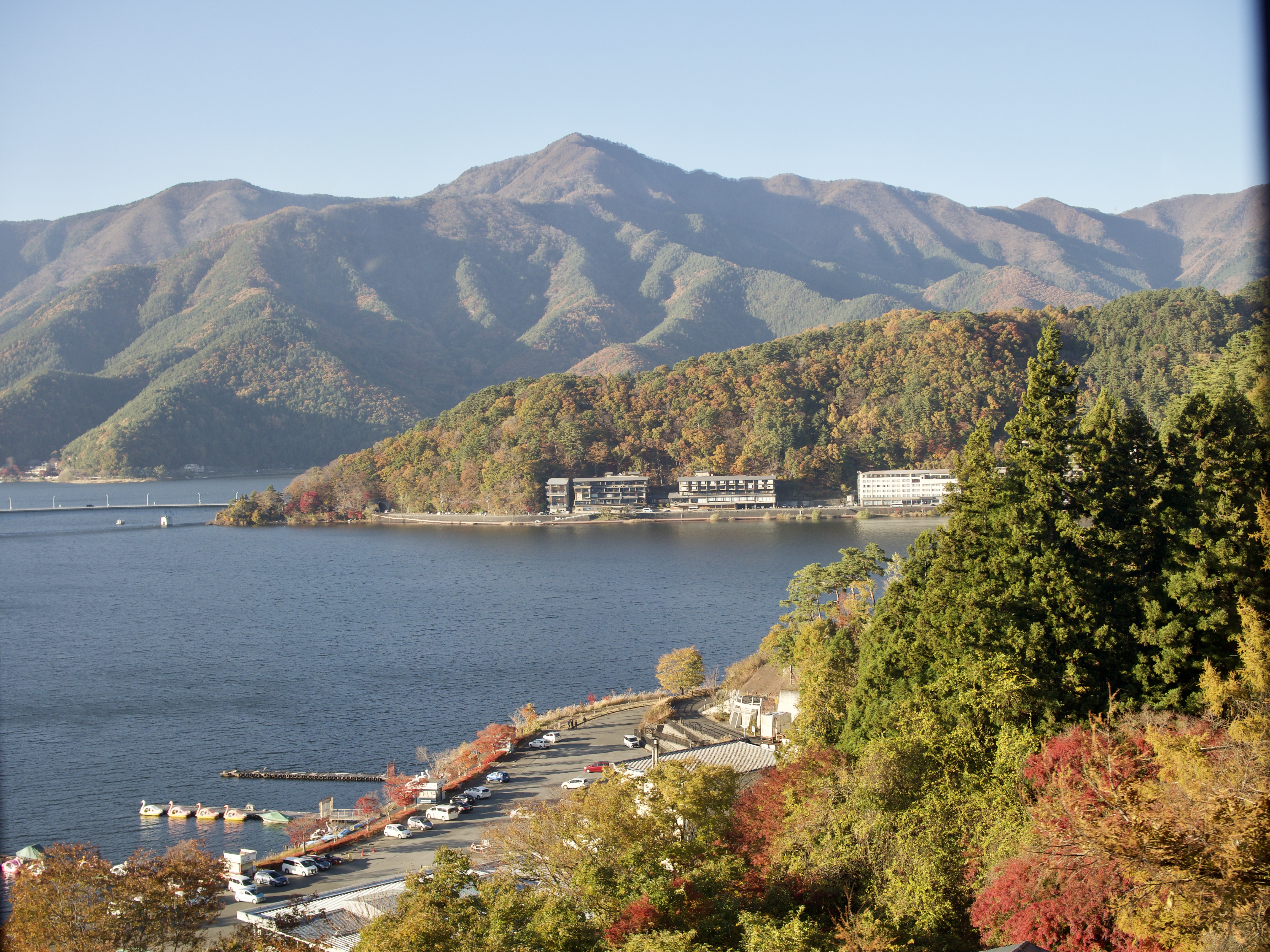 清水町美容院peco ペコ 河口湖ブログ 清水町美容院peco ペコ 河口湖ブログ
