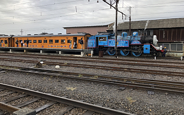 清水町美容院Peco(ペコ)トーマスブログ