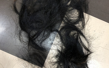 清水町美容院Peco(ペコ)そう言うことだと思うブログ