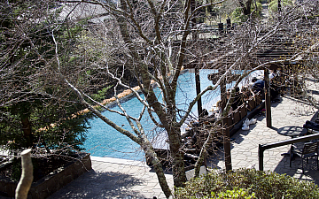 清水町美容院Peco(ペコ)パンの美味しさに気が付いたのは16歳になってからですブログ