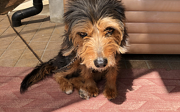 清水町美容院Peco(ペコ)オススメの漫画9選続きブログ