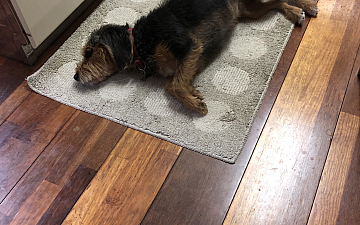 清水町美容院Peco(ペコ)なぜそんなところで…ブログ