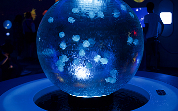 清水町美容院Peco(ペコ)クラゲになりたいブログ