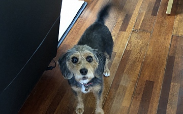 清水町美容院Peco(ペコ)ちょっと大人になったかもブログ