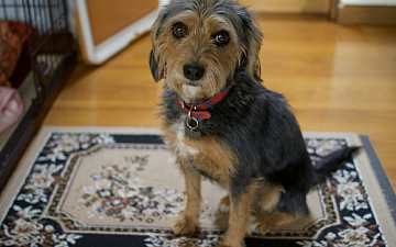 清水町美容院Peco(ペコ)たまたま良い感じブログ