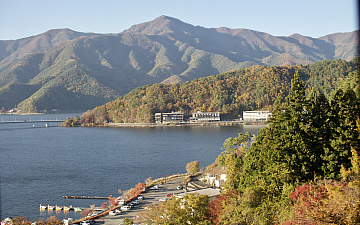 清水町美容院Peco(ペコ)河口湖ブログ