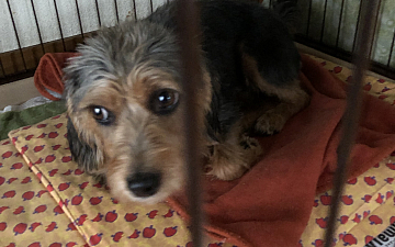 清水町美容院Peco(ペコ)急に寒くなりましたねブログ